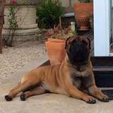 Beatriz