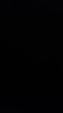 Kuiky