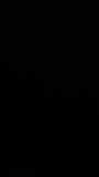 Kuiky
