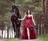 Saray