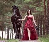 Saray