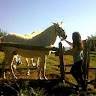 Gema
