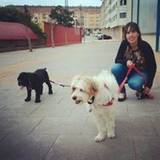 Celia