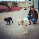 Celia