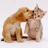 Patricia