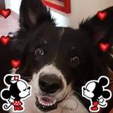 Maite