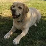 Esther