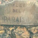 Aurelia