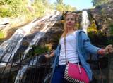 Aroa
