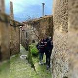 Cristina