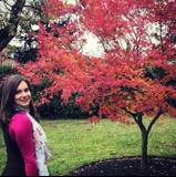 Rebeca