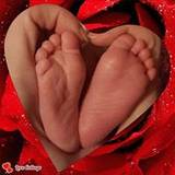 Sandra-Potes