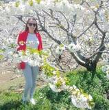 Rocio