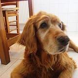 Pilar