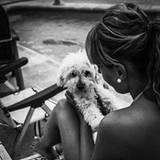 Maitane