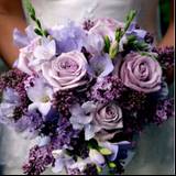 Novia