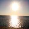 Merche