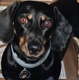 Héctor