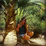 Saray