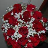 Lorena
