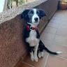 Rocío