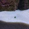 De Fox
