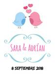 Sara