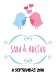 Sara