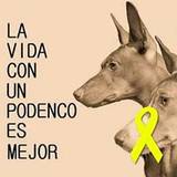 Carmenbosch_46