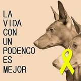 Carmenbosch_46