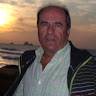 Placido