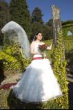 Lorena