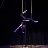 Celia