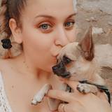 Noemi