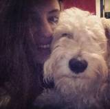 Andrea