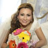 Carlina