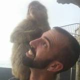 David