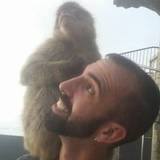 David