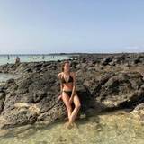 Vane