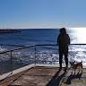 Marii