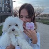 Ester