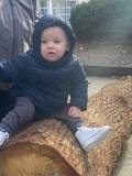 Nerea