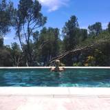 Laia
