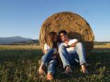 Laia