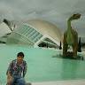 David