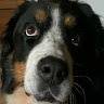 Ester
