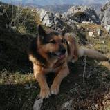 Adrián