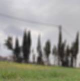 Raúl