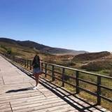 Cristina