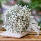 María